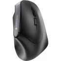 Cherry MW 4500 RF Wireless Optical 1200DPI Right Black Mouse