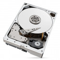 Seagate IronWolf Pro ST10000NT001 internal hard drive 3.5&quot; 10 TB