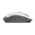 Trust Ozaa mouse Right-hand RF Wireless Optical 2400 DPI