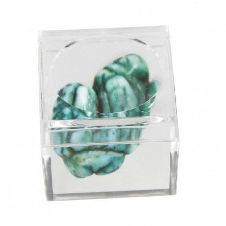 SAFE Magnifying box