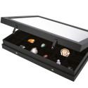 SAFE Premium Showcase Black Edition 24 Compartments