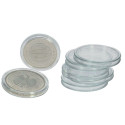 SAFE Coin Capsules XL - 25-pack - ∅ 24 mm