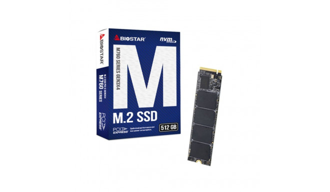 SSD Biostar M760 512GB