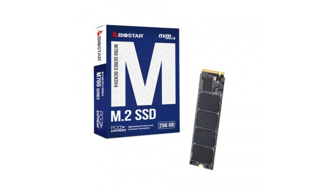 SSD Biostar M760 256GB