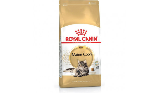 Kaķu barība Royal Canin Pieaugušais 4 Kg Cālis