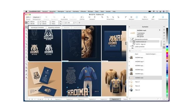 Corel CorelDRAW Graphics Suite 2021 (POLSKI/ENG) Graphic editor ...