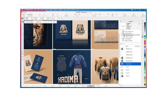 Corel CorelDRAW Graphics Suite 2021 (POLSKI/ENG) Graphic editor ...