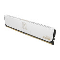 Team Group DDR5 - 32GB - 6400 - CL - 40 (2x 16 GB) dual kit, RAM (white, CTCWD532G6400HC40BDC01, AMD