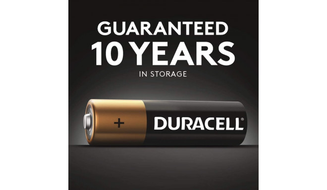 Batteries AA DURACELL Basic 1.5V 12 pcs