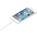 Apple cable Lightning - USB 1m