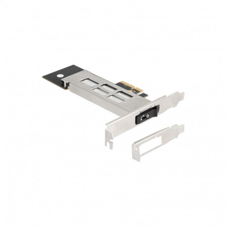 DeLock Wechselrahmen PCI Express Karte für 1 x M.2 NMVe SSD