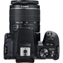 Canon EOS 250D + EF-S 18-55mm f/3.5-5.6 III + EF 75-300mm f/4-5.6 III SLR Camera Kit 24.1 MP CMOS 60