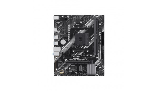 Asus | Processor family AMD A520 | Processor socket 1 x Socket AM4 | 2 DIMM slots - DDR4, ECC, unbuf