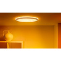 WiZ | Smart WiFi SuperSlim Ceiling 545mm, White | 32 W | 2200-6500 K (RGB)