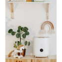 Adler | AD 7972 | Humidifier | 23 W | Water tank capacity 4 L | Suitable for rooms up to 35 m² | Ult