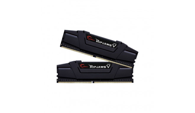G.Skill | Ripjaws V | 16 GB | DDR4 | 3600 MHz | PC/server | Registered No | ECC No