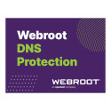 Webroot | DNS Protection with GSM Console | 2 year(s) | License quantity 10-99 user(s)