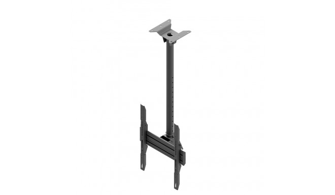 EDBAK | Ceiling mount | MBV1155-P | 42-57 " | Maximum weight (capacity) 70 kg | Black