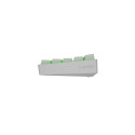 Genesis | THOR 660 RGB | Gaming keyboard | RGB LED light | US | White | Wireless/Wired | 1.5 m | Gat