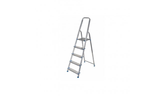 AWTOOLS AW23021 ladder