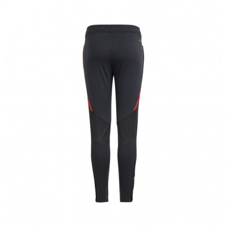 Adidas Tiro 24 Competition Training Jr IS1638 pants (164cm)