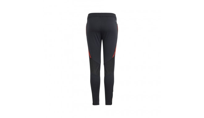 Adidas Tiro 24 Competition Training Jr IS1638 pants (152cm)