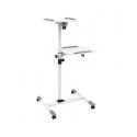 Techly Universal projector / notebook trolley with two shelves  white