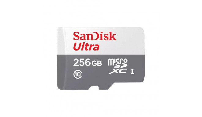 SANDISK memory card ULTRA SDXC 256GB 100MB/s class 10