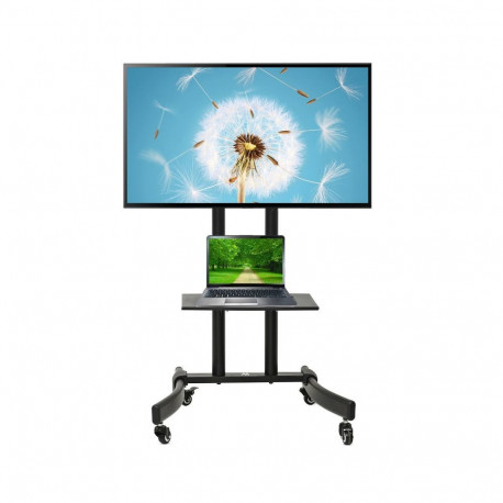 TV trolley stand Maclean, professional, on wheels, max 32-65", max 40kg, MC-739