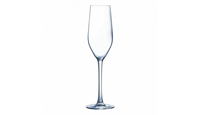 Champagne glass Arcoroc Mineral Glass 160 ml