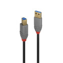 USB-kaabel USB3.0 A-B 5m Lindy Anthra, kullatud pistikud, SuperSpeed kuni 5Gbit/s, PVC korpus, Kolme