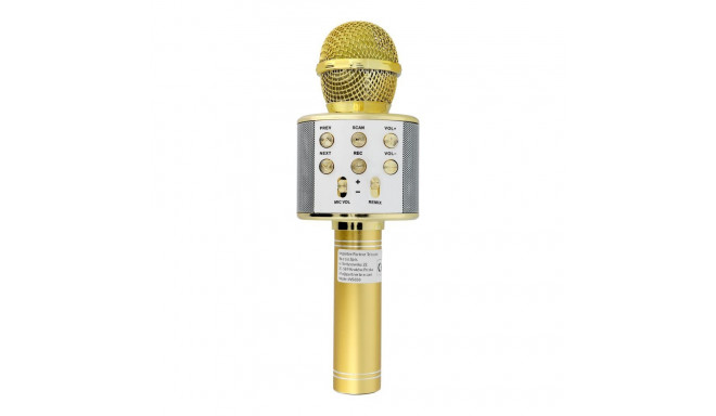 Multimedia karaoke microphone CR58 gold