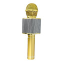 Multimedia karaoke microphone CR58 gold