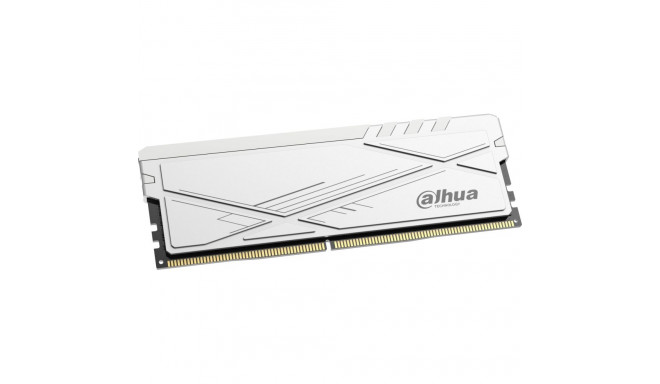 Dahua Technology C600 memory, DDR4, 16 GB, 3200MHz, CL22 (DDR-C600UHW16G32)