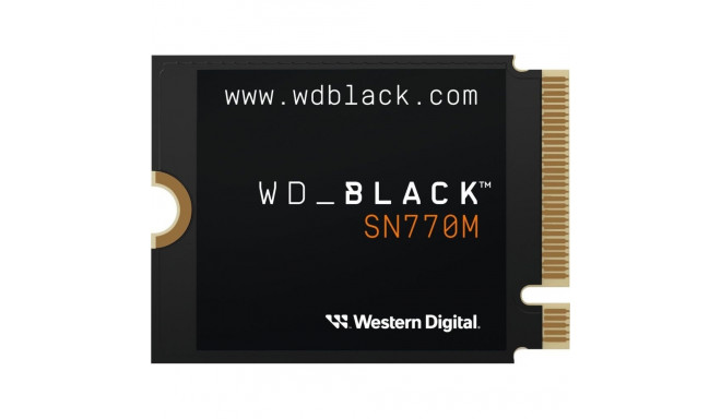 WD SN770M 1TB M.2 2230 PCI-E x4 Gen4 NVMe SSD (WDS100T3X0G)