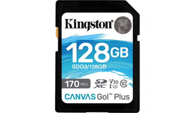 Kingston Canvas Go! Plus SDXC 128 GB Klass 10 UHS-I/U3 V30 (SDG3/128GB)