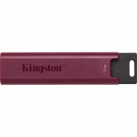 Kingston DataTraveler Max mälupulk, 1 TB (DTMAXA/1TB)