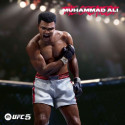 Видеоигры PlayStation 5 Electronic Arts UFC 5 2316 Предметы