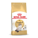 Kaķu barība Royal Canin Ragdoll Adult Pieaugušais 2 Kg