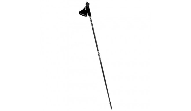 Nordic Walking Poles Viking Lite Pro 120 cm 650-21-4563-08-120