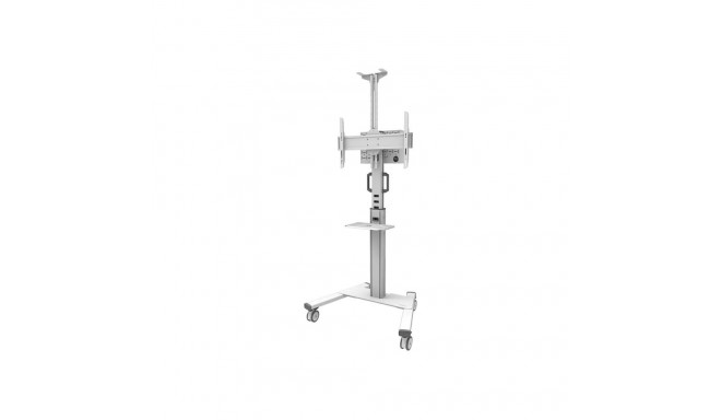 NEOMOUNTS FL50S-825BL1 Floor Stand