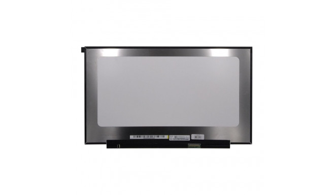 LCD Screen 17.3" 1920x1080, FHD, LED, IPS, 144hz, matte, 40 pin (right), A+
