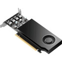 "Quadro RTX A2000 Ampere 8GB PNY GDDR6 Low Profile"