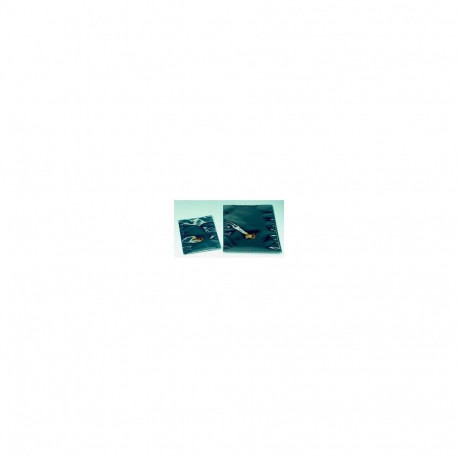 SHIELDING BAG 3650 76µ 102x152mm/100