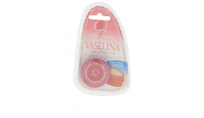 GAL VASELINA NEUTRA perfumada 13 ml