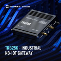 Teltonika TRB256 gateway/controller 10, 100 Mbit/s