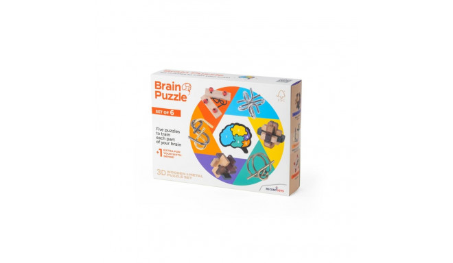 RECENT TOYS Brainteaser Brain puzzle set