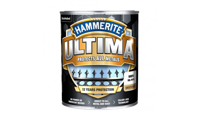 ULTIMA matt valge värv 0.7L