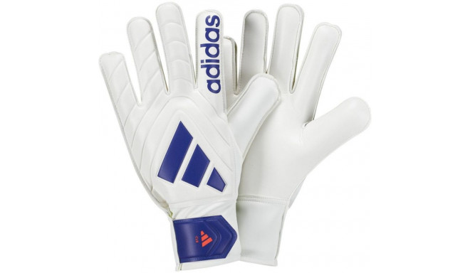 Adidas Copa GL CLB IX3835 goalkeeper gloves (9,5)