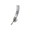 Digitus